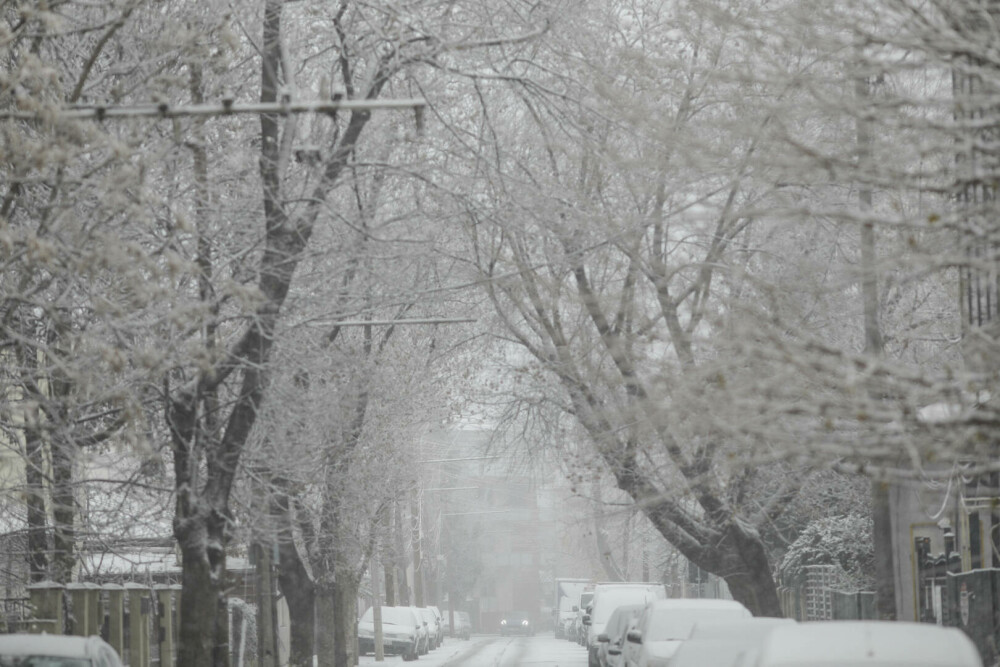 Prima ninsoare în București. Unde au căzut primii fulgi de nea de anul acesta | FOTO - Imaginea 2