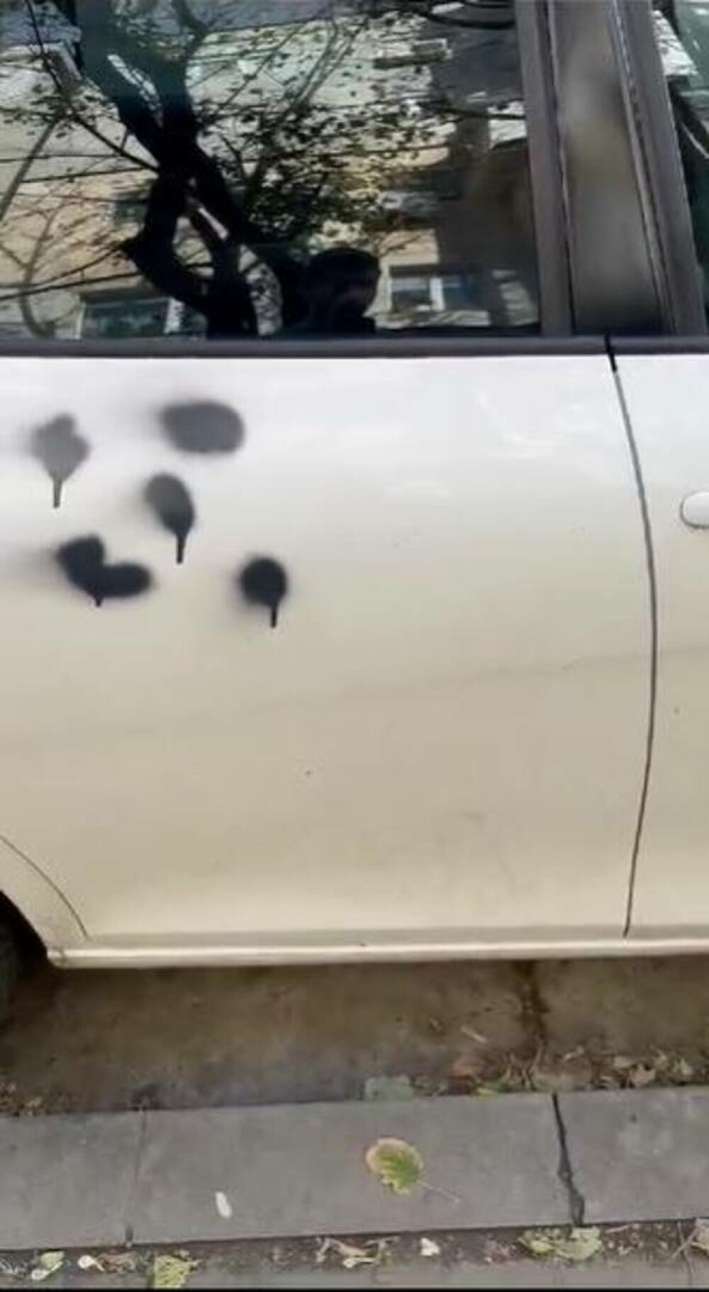 Mașini vandalizate în Galaţi. Doi băieți au pictat cu spray graffiti mai multe autoturisme | FOTO - Imaginea 1