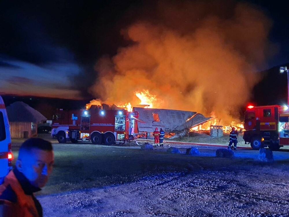 Incendiu de proporții la Ferma Dacilor din Tohani, Prahova. Șase persoane au murit | VIDEO - Imaginea 4
