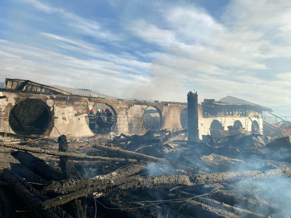 VIDEO. Imagini din dronă cu dezastrul de la Ferma Dacilor. Focul a distrus 1.000 de mp - Imaginea 6
