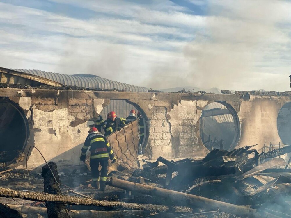 Incendiu de proporții la Ferma Dacilor din Tohani, Prahova. Șase persoane au murit | VIDEO - Imaginea 13