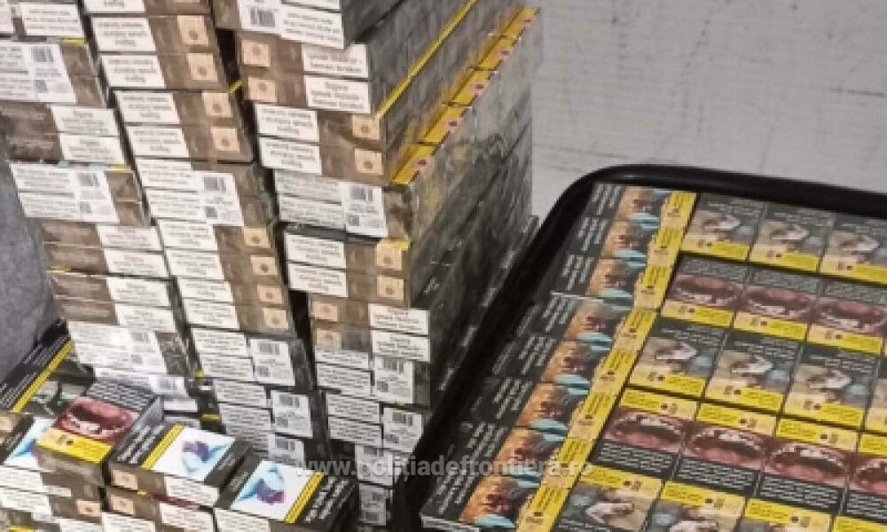Peste 4.000 de pachete de ţigări de contrabandă, descoperite pe Aeroportul Otopeni cu ajutorul câinelui Ebasa - Imaginea 2