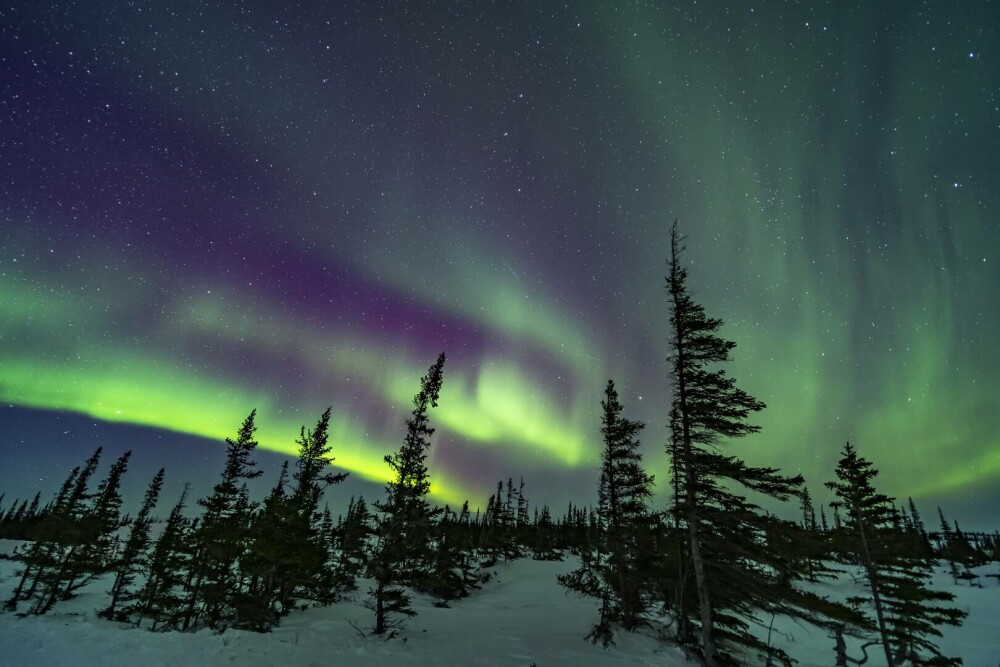 Orășelul unde se vede aurora boreală 300 de nopți pe an. Ce îl face locul perfect pentru a vedea spectacolul celest - Imaginea 4