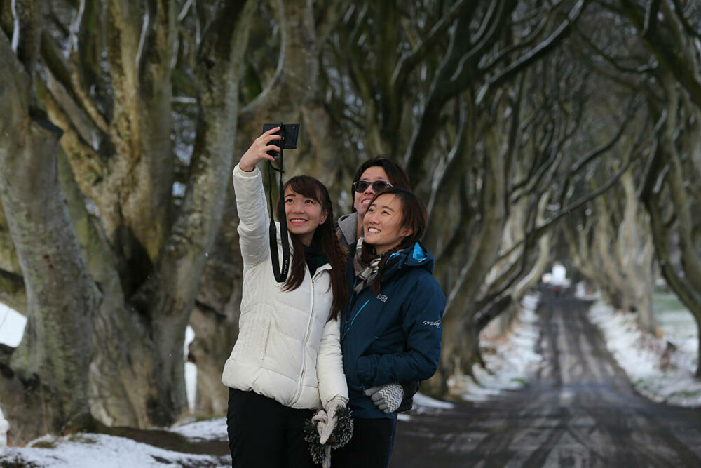 Copacii din Irlanda de Nord, celebri datorită serialului „Game of Thrones”, ar putea dispărea în 15 ani - Imaginea 3