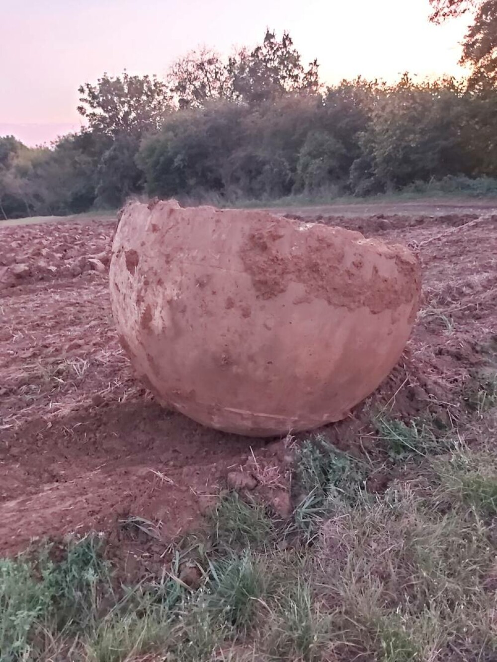 Descoperirea istorică făcută de un fermier după ce a lovit o piatră în timp ce ara. Ce a scos din pământ. FOTO - Imaginea 4
