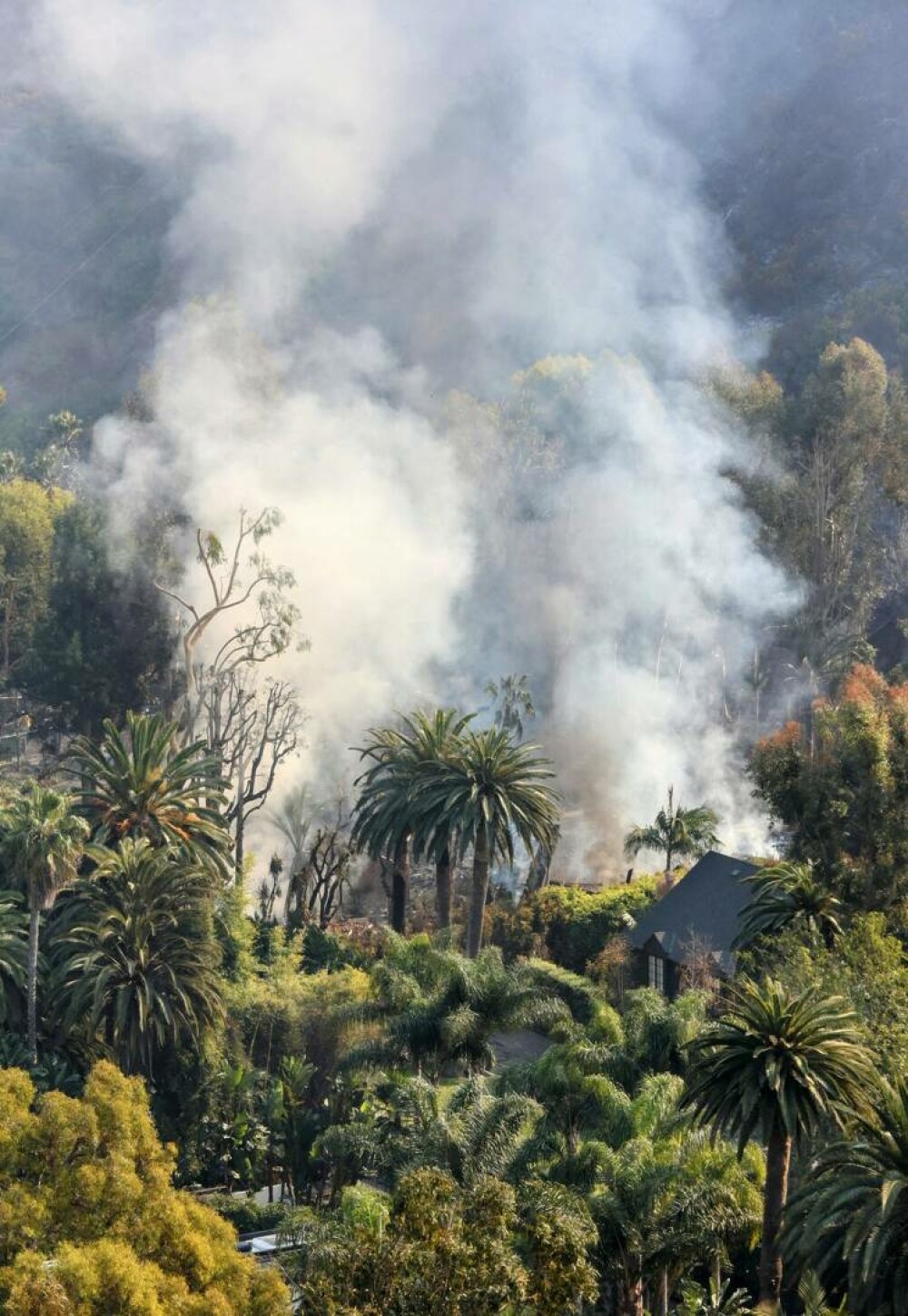 Incendiu puternic de vegetaţie în Malibu. Dick Van Dyke şi Cher, printre miile de persoane care fug din calea focului - Imaginea 9