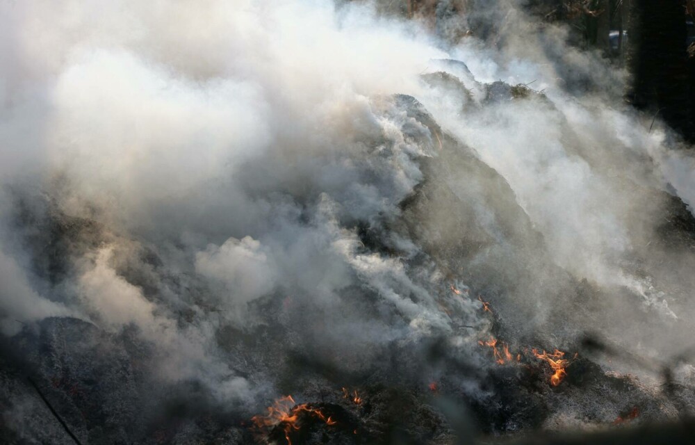 Incendiu puternic de vegetaţie în Malibu. Dick Van Dyke şi Cher, printre miile de persoane care fug din calea focului - Imaginea 13