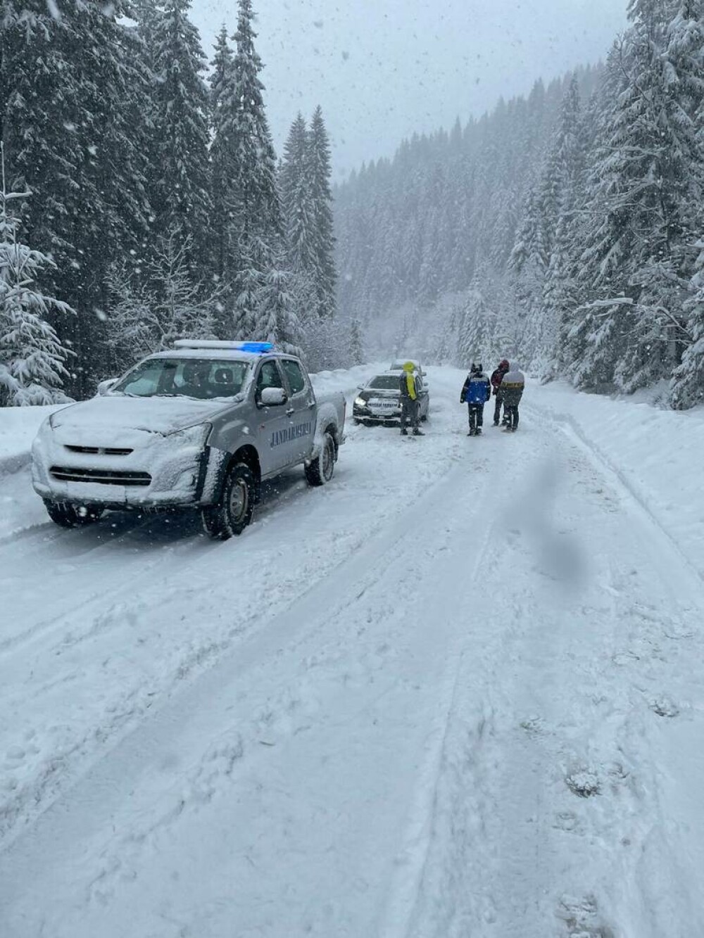 Patru maşini, în care se aflau 12 persoane, inclusiv copii, au rămas blocate în zăpadă când plecau de la pârtia Transalpina - Imaginea 3