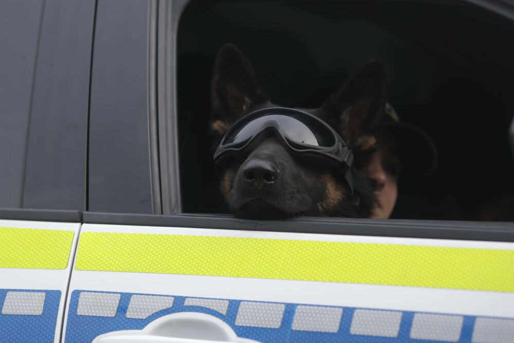 Parada de 1 Decembrie 2025: Video cu evenimentul integral și cele mai bune imagini de Ziua Națională a României - FOTO - Imaginea 9