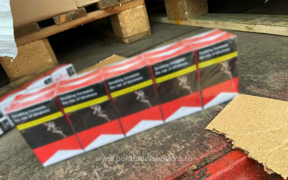 Captură de peste 2 milioane de lei la vama Calafat. Un șofer a fost arestat după ce a fost oprit pentru un control. FOTO - Imaginea 4