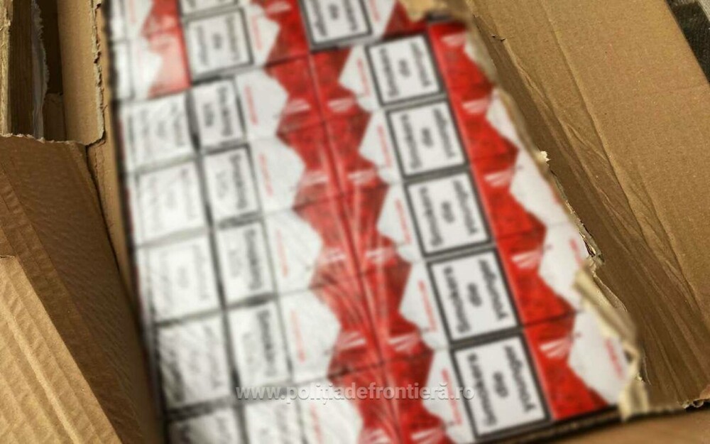 Captură de peste 2 milioane de lei la vama Calafat. Un șofer a fost arestat după ce a fost oprit pentru un control. FOTO - Imaginea 3