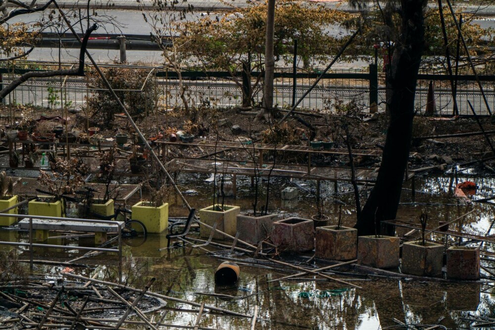 Nou bilanț al incendiului din Hong Kong: 151 de morți și 14 arestări. Unele cadavre ar putea să nu fie găsite niciodată - Imaginea 11