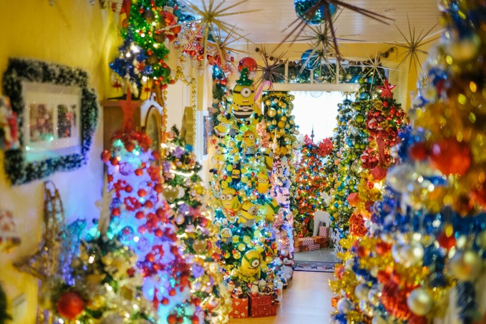 Un cuplu din Germania și-a decorat casa cu 621 de brazi de Crăciun. Și-au bătut propriul record. FOTO - Imaginea 2
