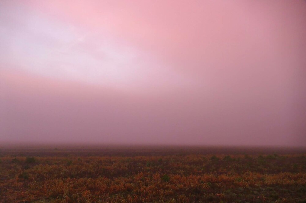 O ceață roz spectaculoasă a cuprins Marea Britanie. Cum explică specialiștii fenomenul meteo rar. GALERIE FOTO - Imaginea 4