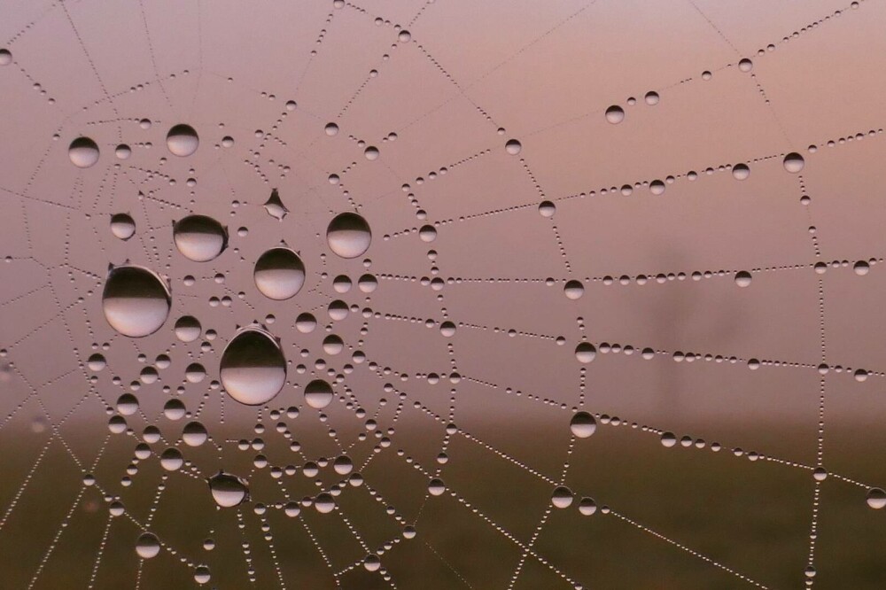 O ceață roz spectaculoasă a cuprins Marea Britanie. Cum explică specialiștii fenomenul meteo rar. GALERIE FOTO - Imaginea 8