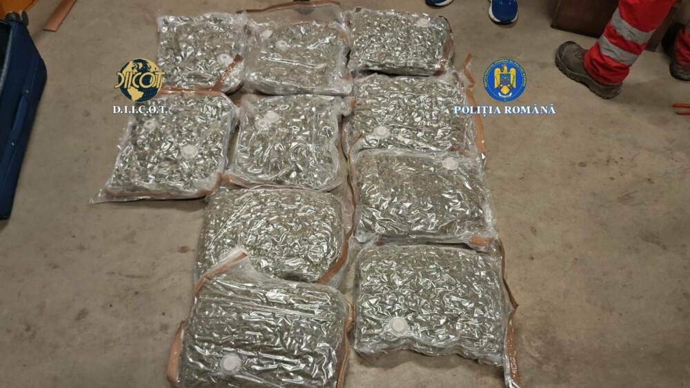 Ce au descoperit procurorii DIICOT în două trolere suspecte aduse în București prin curierat. Patru indivizi au fost arestați - Imaginea 4