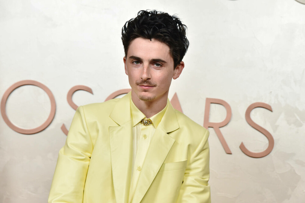 Timothée Chalamet a împlinit 30 de ani. Actorul și-a surprins fanii cu fotografii din copilărie. GALERIE FOTO - Imaginea 2