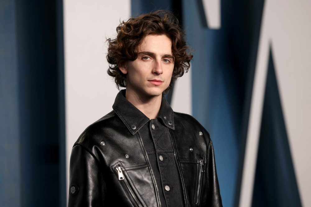 Timothée Chalamet a împlinit 30 de ani. Actorul și-a surprins fanii cu fotografii din copilărie. GALERIE FOTO - Imaginea 6