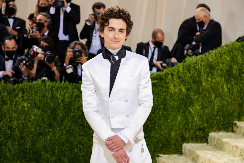 Timothée Chalamet a împlinit 30 de ani. Actorul și-a surprins fanii cu fotografii din copilărie. GALERIE FOTO - Imaginea 8