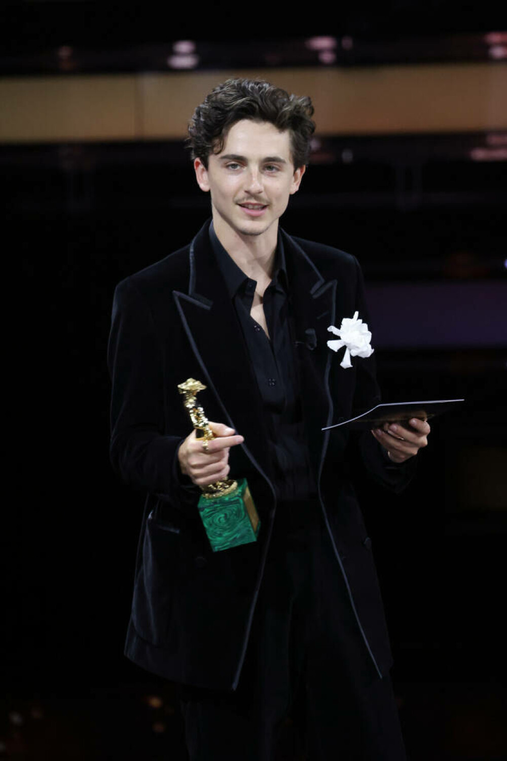 Timothée Chalamet a împlinit 30 de ani. Actorul și-a surprins fanii cu fotografii din copilărie. GALERIE FOTO - Imaginea 12