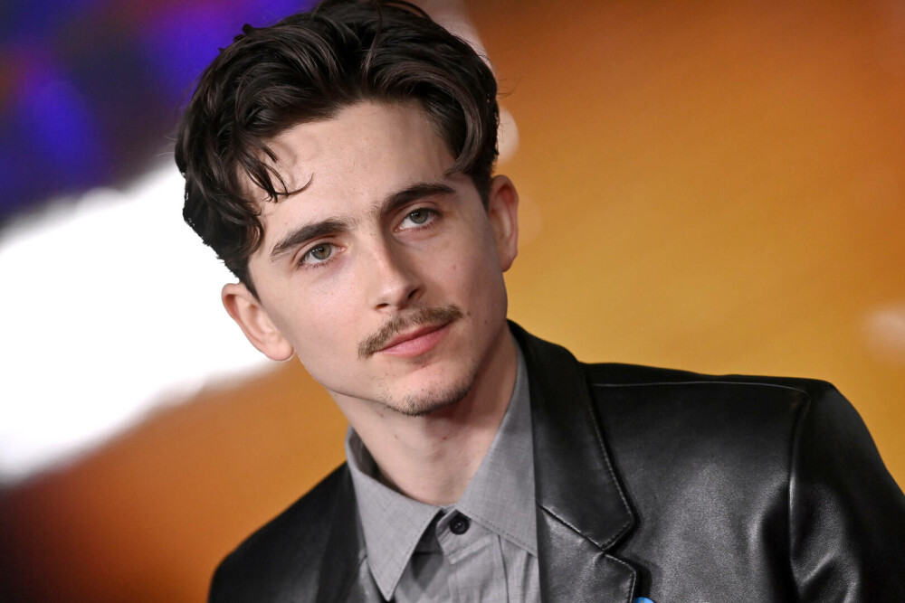 Timothée Chalamet a împlinit 30 de ani. Actorul și-a surprins fanii cu fotografii din copilărie. GALERIE FOTO - Imaginea 17