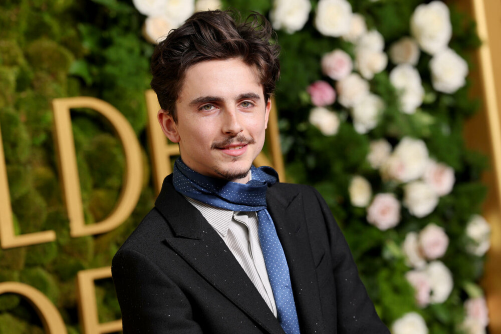 Timothée Chalamet a împlinit 30 de ani. Actorul și-a surprins fanii cu fotografii din copilărie. GALERIE FOTO - Imaginea 19