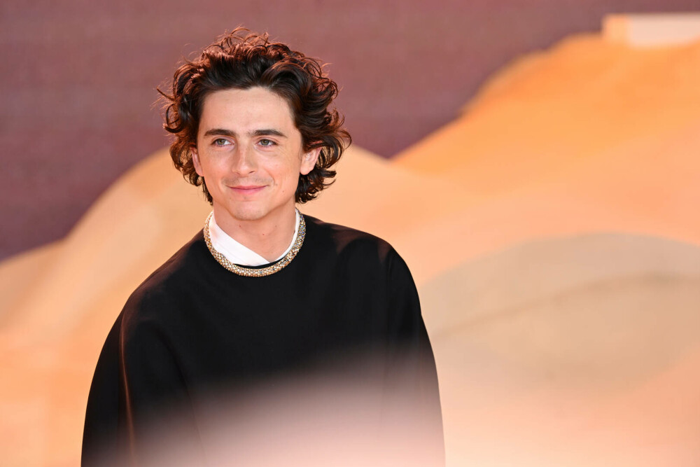 Timothée Chalamet a împlinit 30 de ani. Actorul și-a surprins fanii cu fotografii din copilărie. GALERIE FOTO - Imaginea 20