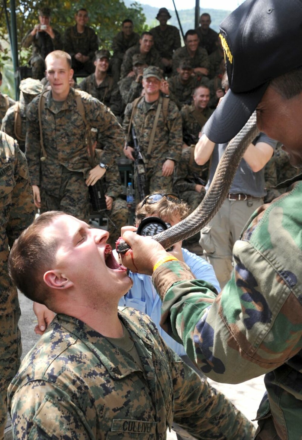 Exercitiu militar extrem: beau sange de cobra si mananca scorpioni - Imaginea 4