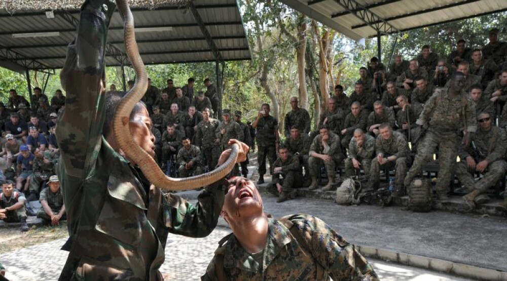 Exercitiu militar extrem: beau sange de cobra si mananca scorpioni - Imaginea 5