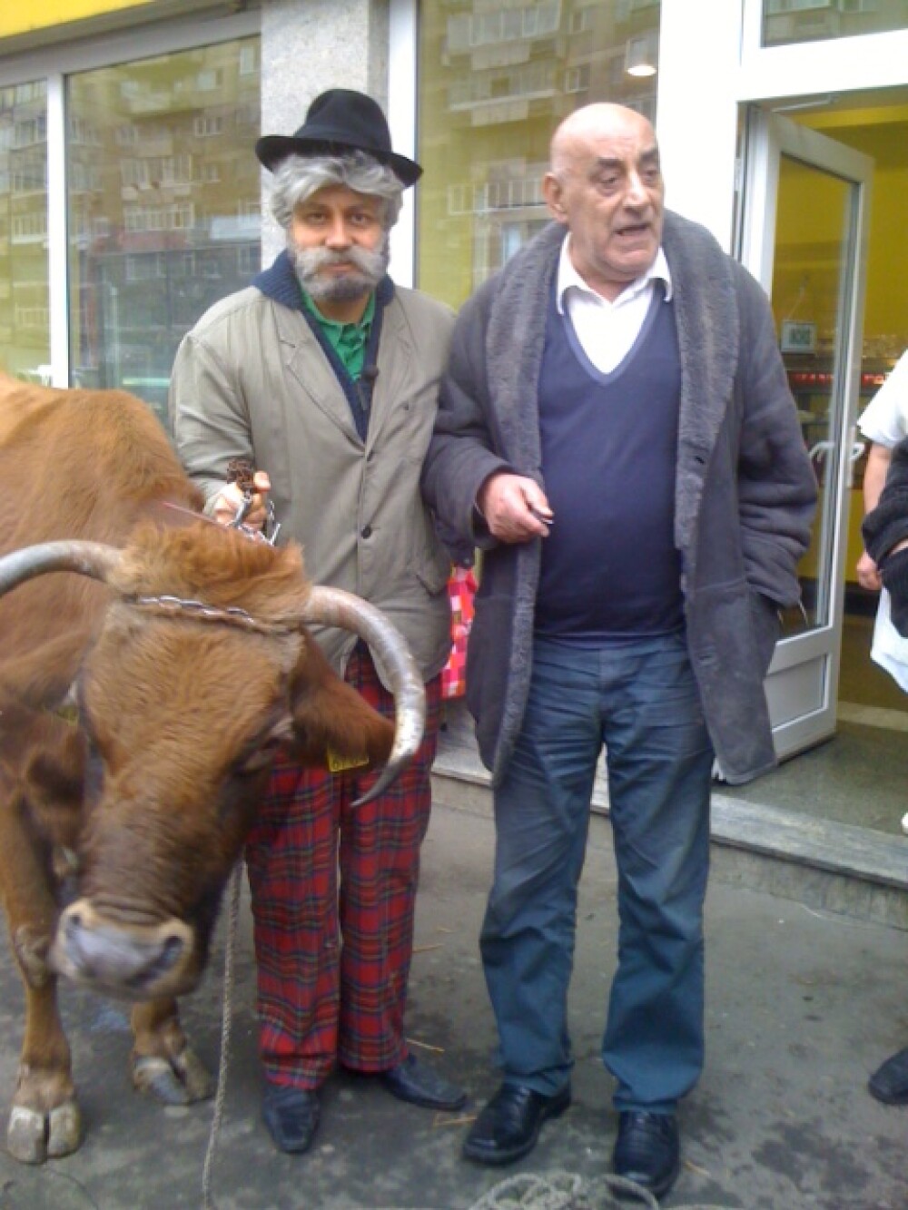 Catalin Maruta s-a plimbat cu vaca prin Bucuresti - Imaginea 2