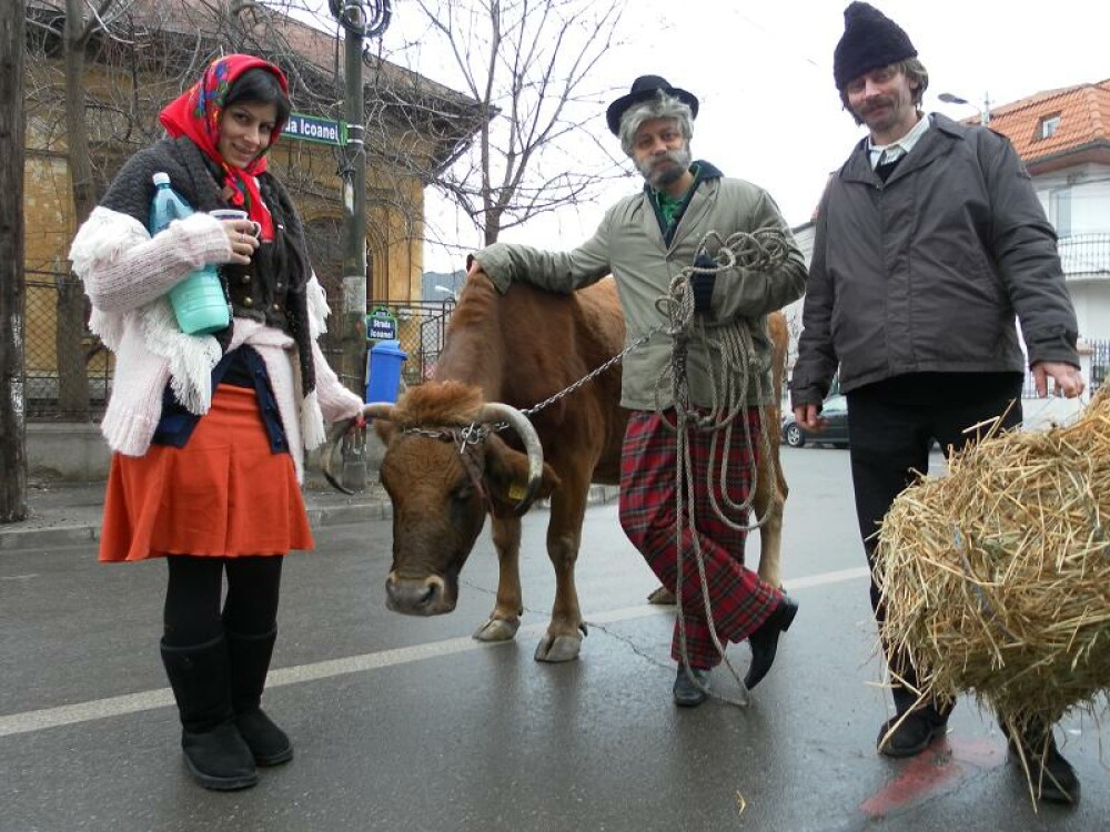Catalin Maruta s-a plimbat cu vaca prin Bucuresti - Imaginea 4