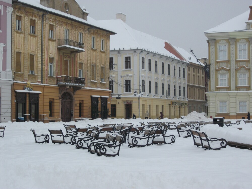 A treia zi de iarna adevarata in Timisoara. Troienele de zapada se lasa alungate cu greu - Imaginea 5