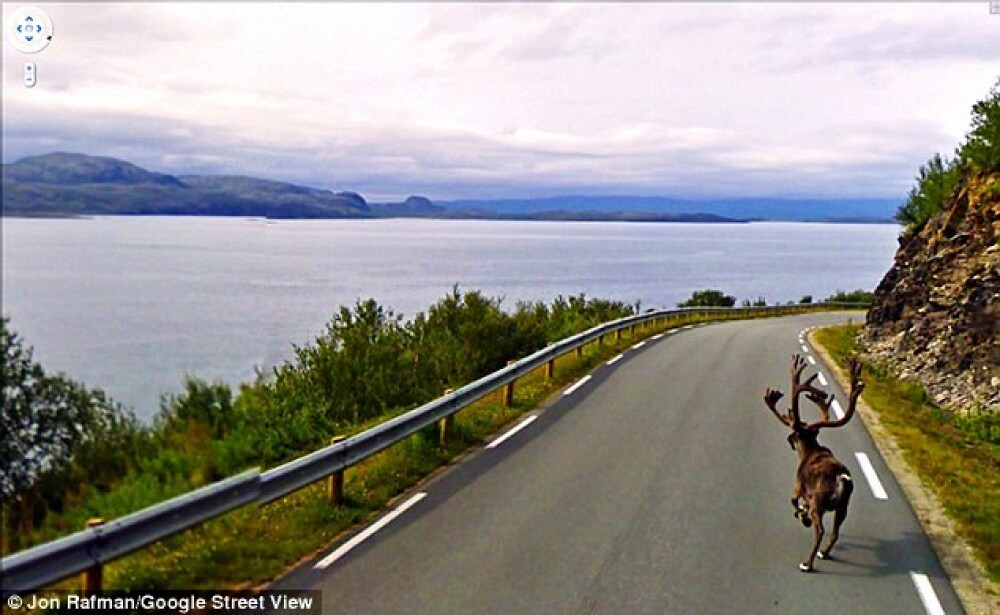IMAGINILE care NU trebuiau sa apara niciodata pe Google Street View. Ce au surprins. FOTO - Imaginea 5