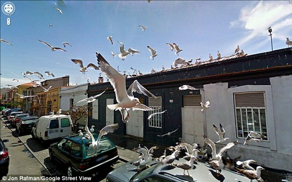 IMAGINILE care NU trebuiau sa apara niciodata pe Google Street View. Ce au surprins. FOTO - Imaginea 10