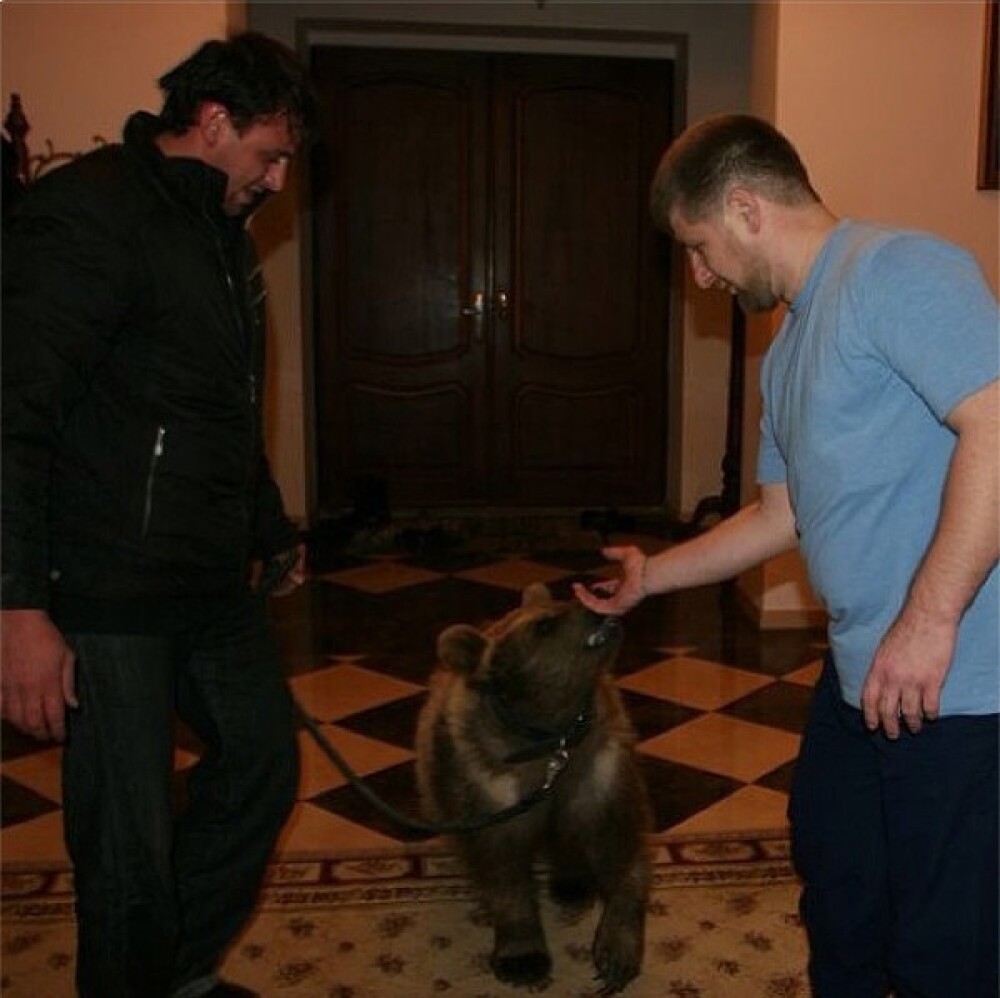 Cum isi traieste viata Raman Kadyrov, excentricul patron al echipei de fotbal Terek Grozny. FOTO - Imaginea 11