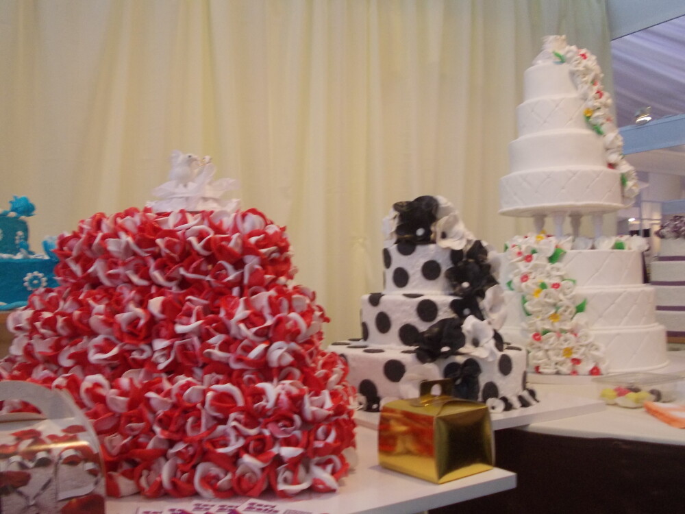 (P) Ultimul targ de nunti din 2013, in acest weekend la Centrul Regional de Afaceri Timisoara - Imaginea 7