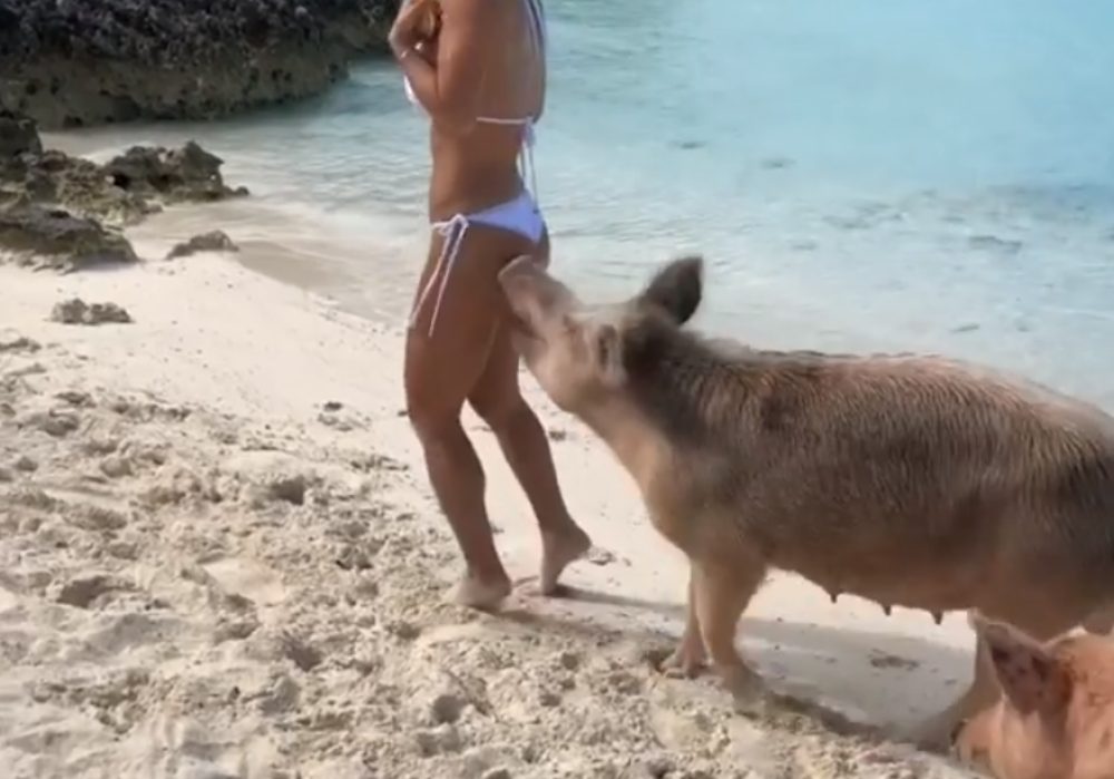 Kim Kardashian, surprinsă pe o plajă din Bahamas în timp ce fugea de porci: „M-am speriat” - Imaginea 4
