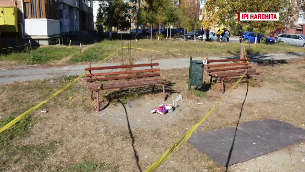 Mister în jurul cadavrului unui bebeluş găsit în parc. Mama, identificată după 4 luni - Imaginea 1