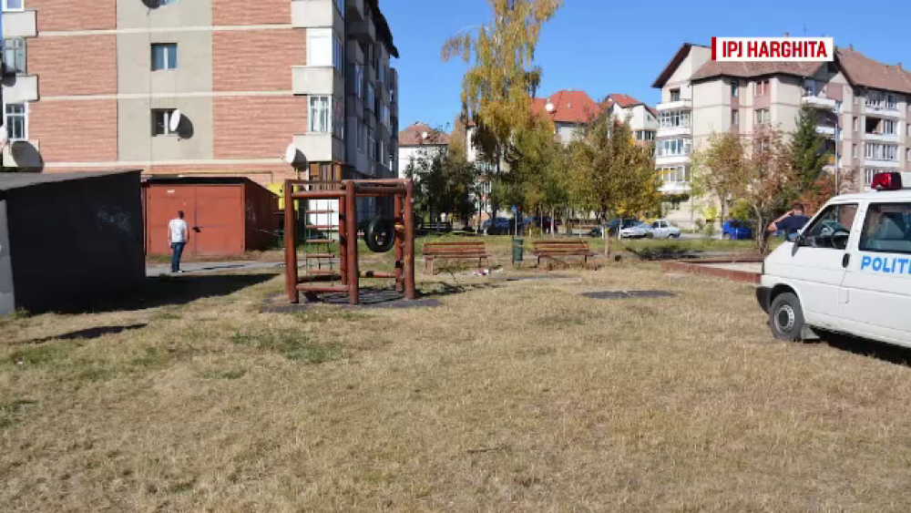 Mister în jurul cadavrului unui bebeluş găsit în parc. Mama, identificată după 4 luni - Imaginea 3