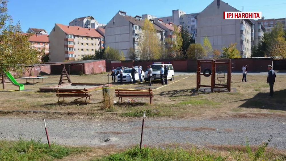 Mister în jurul cadavrului unui bebeluş găsit în parc. Mama, identificată după 4 luni - Imaginea 4