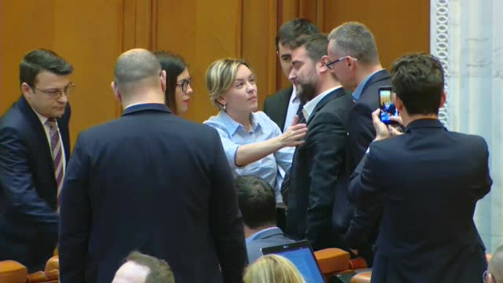 Scandal în Parlament. Deputatul PSD Liviu Pleșoianu, gata să se bată cu un deputat USR - Imaginea 4