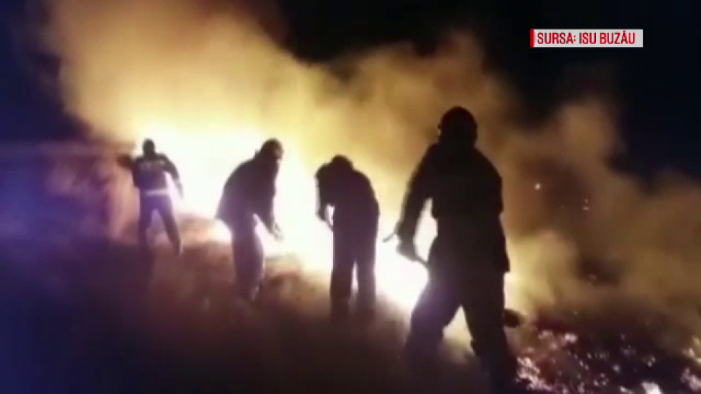 Misiune dificilă pentru pompierii din Buzău. Un incendiu a cuprins 30 de hectare de vegetație - Imaginea 1