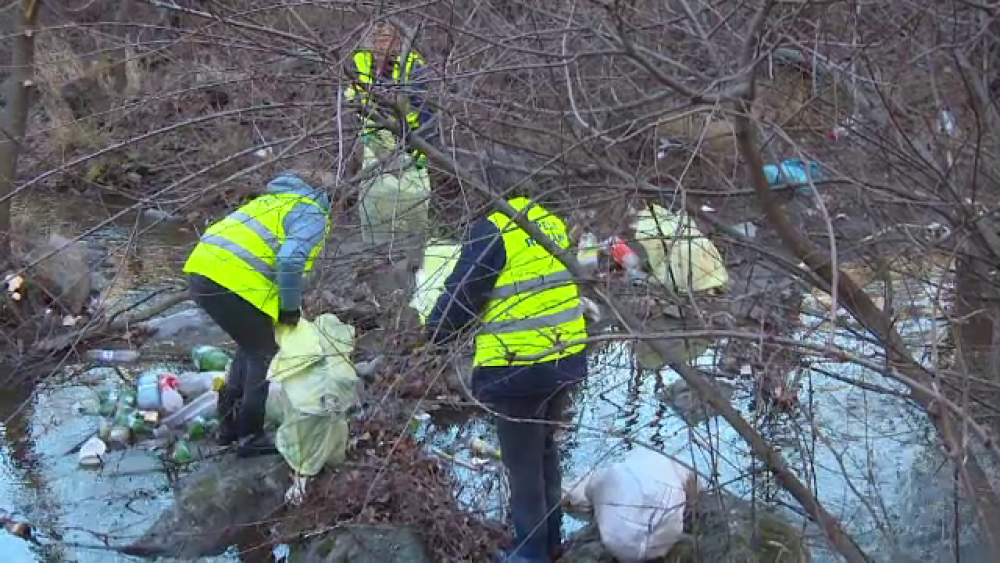 Mormane de gunoaie, colectate de localnici în Valea Motrului, după o vizită a Inspectorului PRO - Imaginea 4