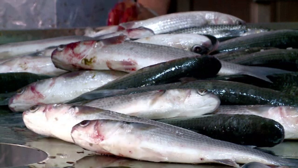 Cum încearcă Ministerul Agriculturii să îi convingă pe români să mănânce mai mult pește - Imaginea 3