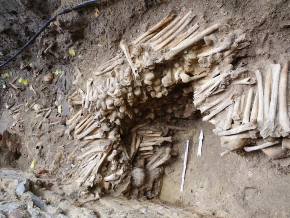 FOTO. Descoperire macabră făcută de o echipă de arheologi, sub o biserică din Belgia - Imaginea 1