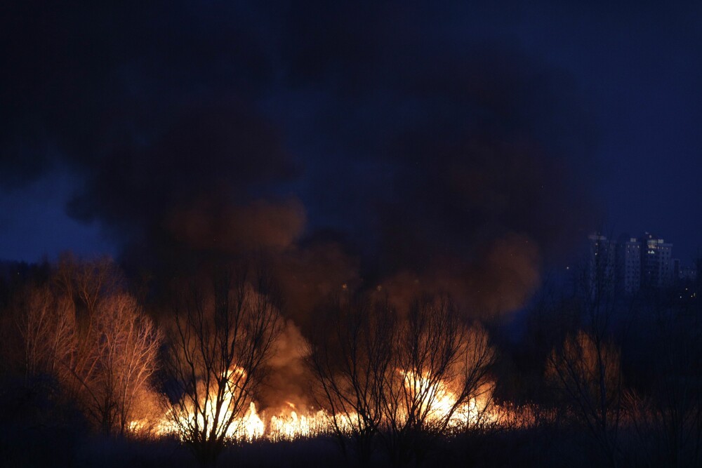 Incendiul din Delta Văcărești a fost stins. Care sunt pagubele - Imaginea 13