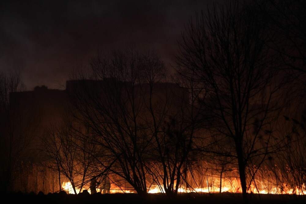Incendiul din Delta Văcărești a fost stins. Care sunt pagubele - Imaginea 14