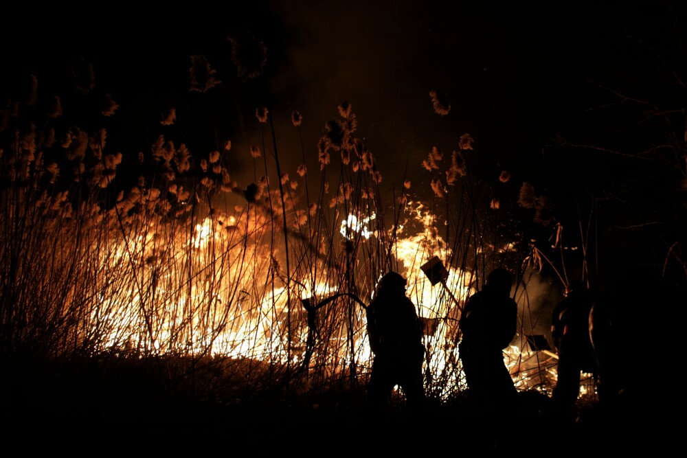 Incendiul din Delta Văcărești a fost stins. Care sunt pagubele - Imaginea 16