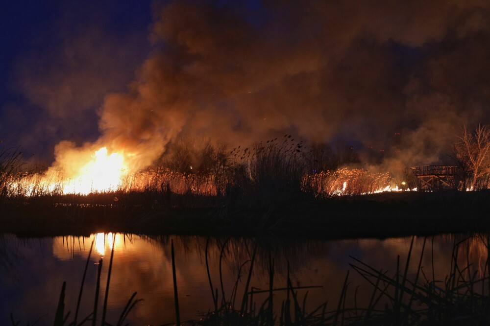 Incendiul din Delta Văcărești a fost stins. Care sunt pagubele - Imaginea 17