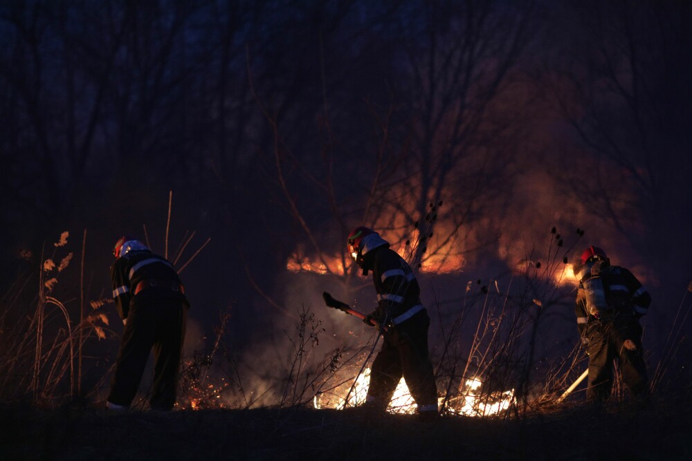 Incendiul din Delta Văcărești a fost stins. Care sunt pagubele - Imaginea 18